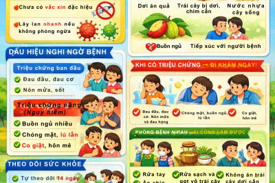 Khuyến cáo của Bộ Y tế về phòng, chống dịch bệnh do virus Nipah