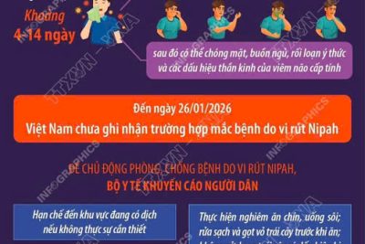 THÔNG BÁO VỀ VIỆC TĂNG CƯỜNG PHÒNG, CHỐNG DỊCH BỆNH DO VIRUS NIPAH