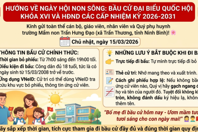 HƯỚNG VỀ NGÀY HỘI NON SÔNG: BẦU CỬ ĐẠI BIỂU QUỐC HỘI KHÓA XVI VÀ HĐND CÁC CẤP NHIỆM KỲ 2026-2031